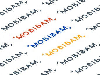 logo mobibam